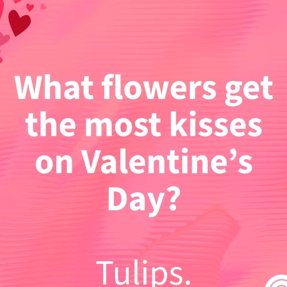 Happy Valentines Day💞💞 - Picture 7 of 8